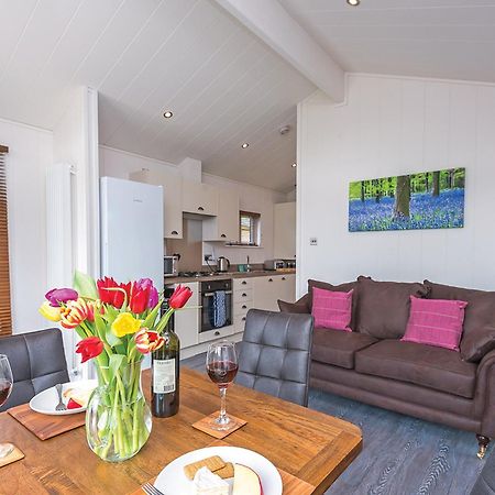 Wareham Forest Lodge Retreat Lytchett Minster Exteriér fotografie