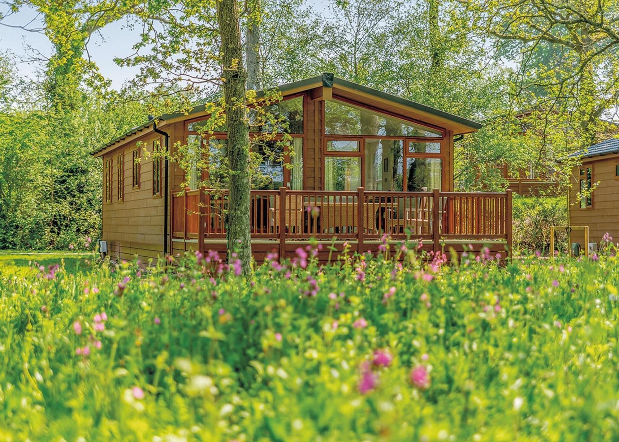 Wareham Forest Lodge Retreat Lytchett Minster Exteriér fotografie